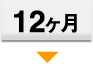 ˡ��12��������