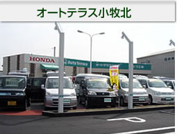 �����ȥƥ饹�̾���